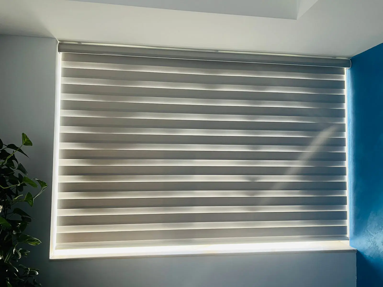 WhatsApp Image 2025-05-14 at 21.50.23_c781e412 WhatsApp Image 2025-05-14 at 21.50.23_c781e412