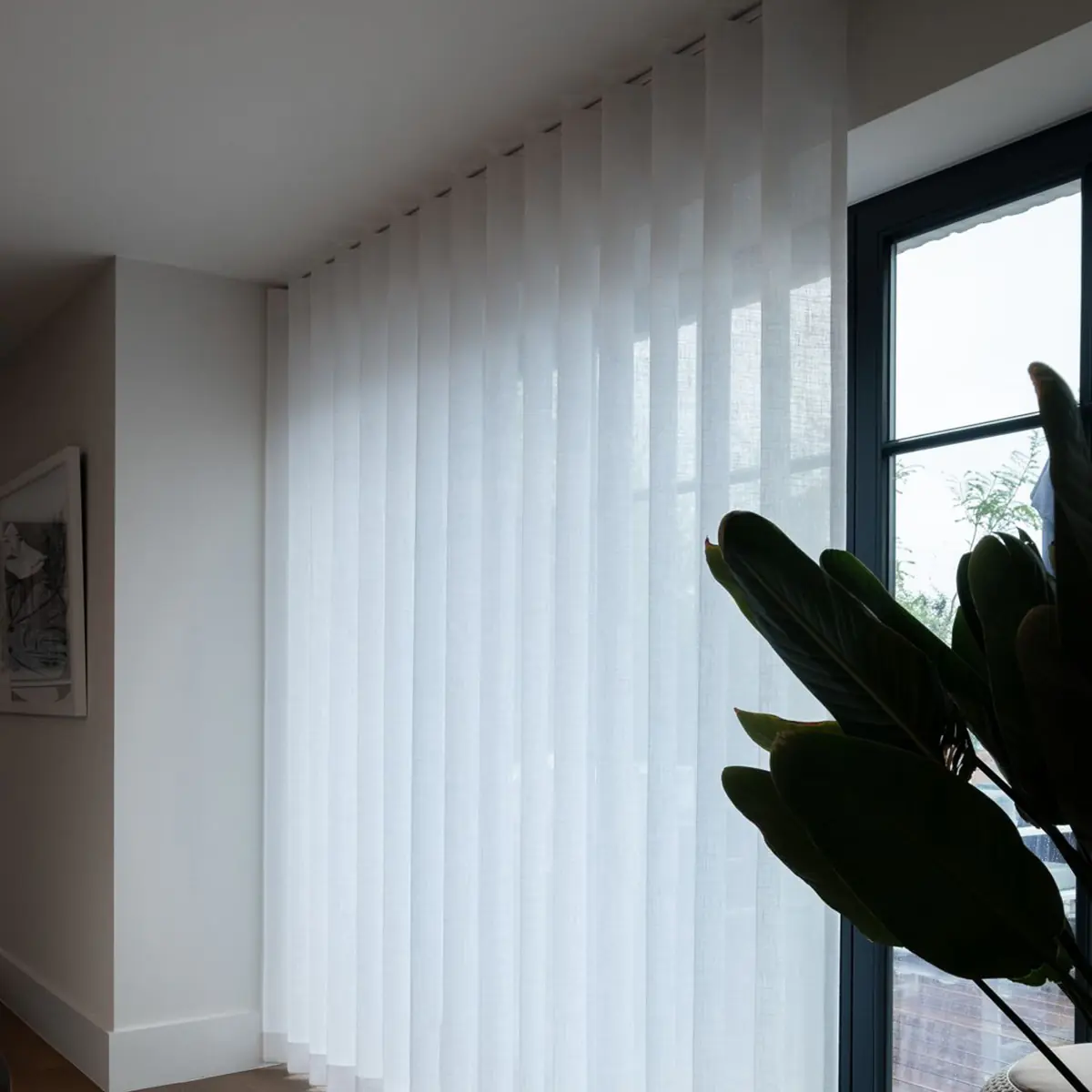 Sheer Curtains