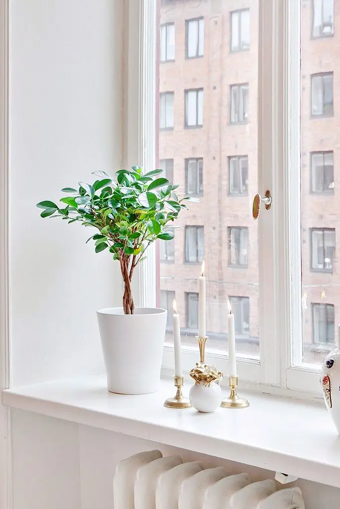 Modern Window Design Ideas in a UAE villa with slim black frames, corner glazing, and a shaded terrace