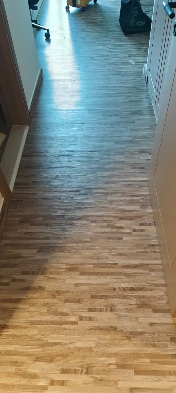 001086 1 (13) 001086 1 (13)