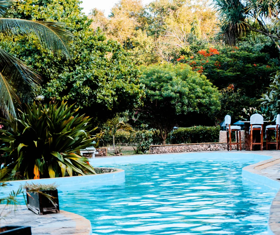 Modern Pool Design Trends Suitable for Abu Dhabi Climate | Instylea Interior | United Arab Emirates